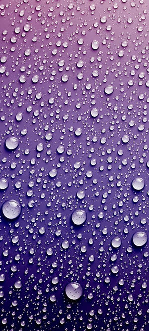 Samsung S21 Ultra Violetit Pisarat Taustakuva — iPhone 12 Pro Max Taustakuvat