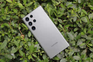 Samsung S23 Ultra vihreiden lehtien taustalla — Samsung galaxy s22 Taustakuvat