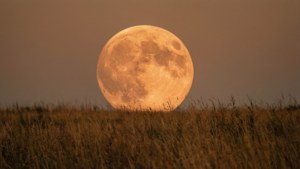 Oranssi satoisa kuu loi lämpimän hehkun kuivan ruohopellon ylle.