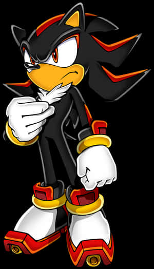 Shadow The Hedgehog Png, läpinäkyvä Png