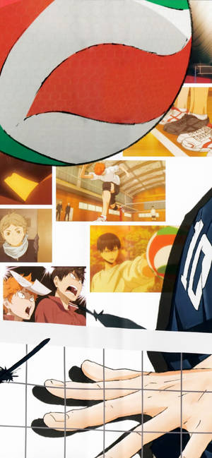 Shiratorizawa — iPhone 15 Taustakuvat