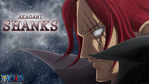 Siisti Akagami Shanks One Piece — One piece 4K GIF Taustakuvat