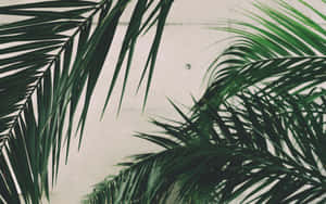 1280x800 — 1280x800 Taustakuvat