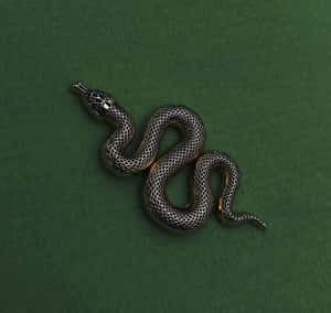 Slytherin-estetiikan kuvia — Slytherin estetiikka Taustakuvat