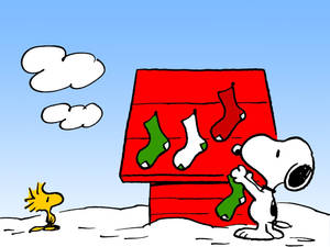 Snoopyn Joulusukkien Taustakuva — Snoopy joulu Taustakuvat