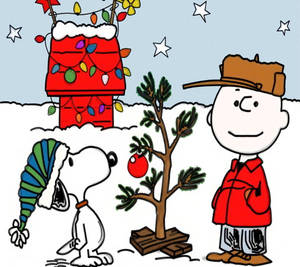 Snoopyn Joulutähdet -taustakuva — Snoopy joulu Taustakuvat
