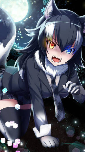 Söpö animeprofiilikuva susityttö -taustakuva — Söpö anime profiilikuva Taustakuvat