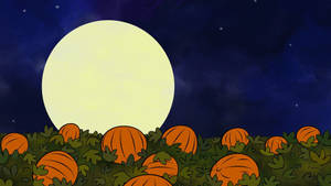 Söpö esteettinen Halloween-kurpitsat ja kuu