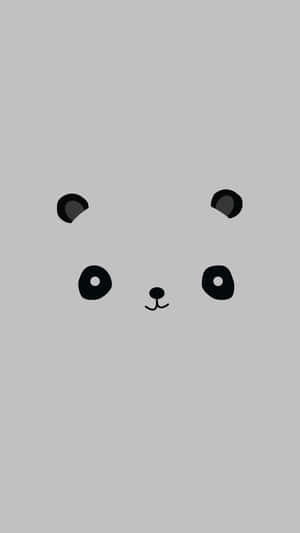 Panda-taustakuva — Panda Taustakuvat