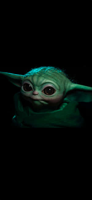 Vauva Yoda taustakuva — Nokia C210 Taustakuvat