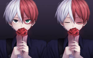 Suloinen Todoroki punaisen ruusun kanssa -taustakuva