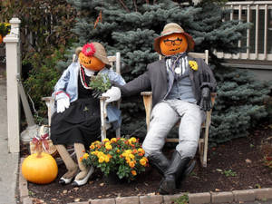 Suloiset Halloween-nuket seniorit -taustakuva. — Sarjakuva halloween Taustakuvat