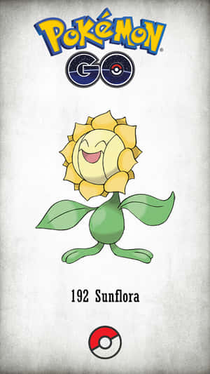 Sunflora Pokemon Gossa — Videopeli GIF Taustakuvat
