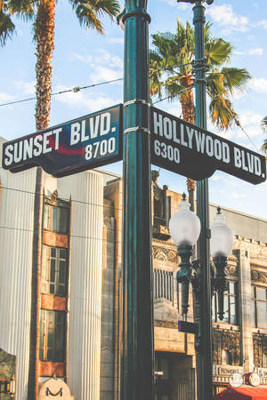Sunset Boulevard ja Hollywood Boulevard -taustakuva — Auringonlaskun bulevardi Taustakuvat