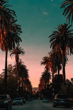 Sunset Boulevard Hollywood-kyltti taustakuva — Auringonlaskun bulevardi Taustakuvat
