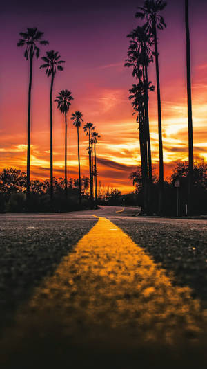 Sunset Boulevard Road -muotokuvataustakuva — Auringonlaskun bulevardi Taustakuvat