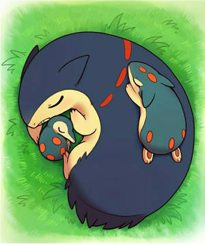 Suuri Typhlosion nukkumassa — Söpö pokemon Taustakuvat