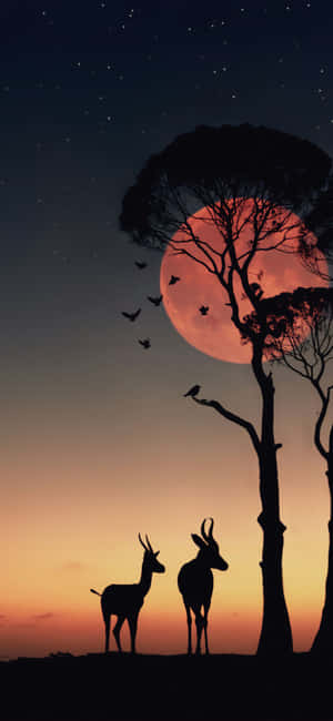 1080x2340 — iPhone 17 Taustakuvat