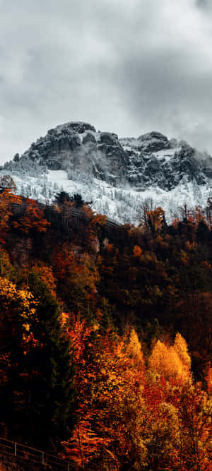 Fall Mountain — Moto E14 Taustakuvat
