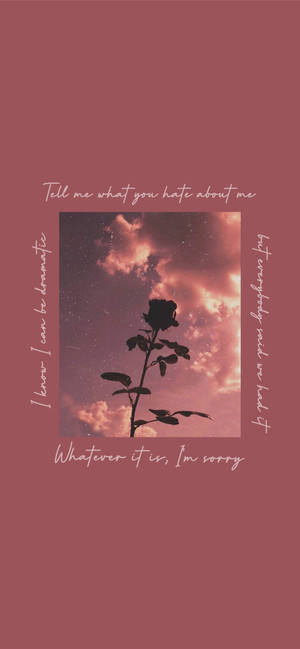 Iphone Aesthetic Flower Silhouette -taustakuva — iPhone 17 Pro Max Taustakuvat