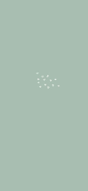 Sage Green -estetiikkakuvia — iPhone 16e Taustakuvat