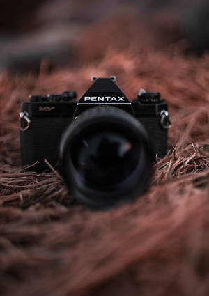 Kuva mustasta Pentax-kamerasta linnunpesä-taustakuvassa. — Oppo Pad 6 Taustakuvat