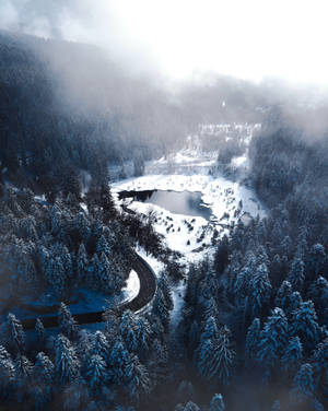 Talvinen metsä ja järvi -taustakuva