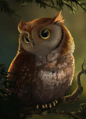 Suloisia pöllökuvia