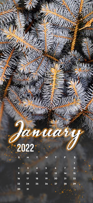 Tammikuu 2022 valkoinen mänty taustakuva — iPhone 16 Taustakuvat