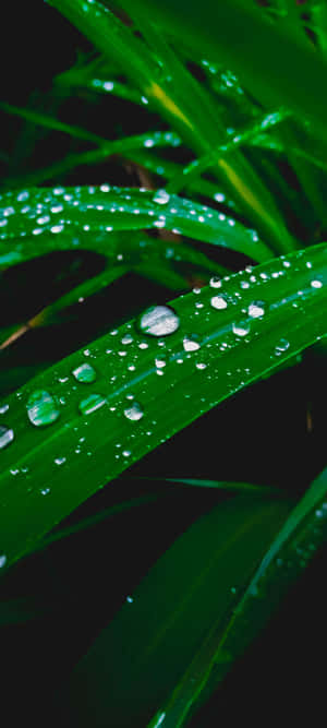 1080x2400 — Samsung galaxy s22 Taustakuvat