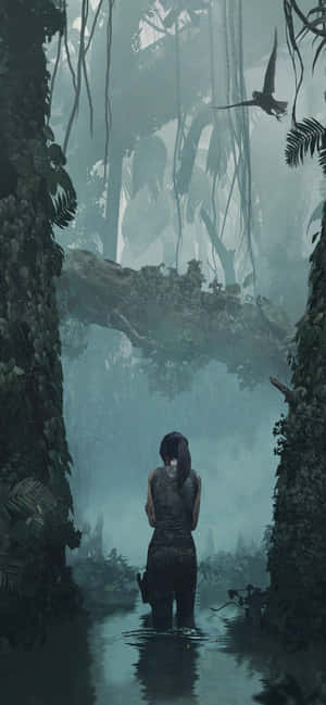 Iphone Xs Max Rise Of The Tomb Raider -tausta — Redmi 15C Taustakuvat