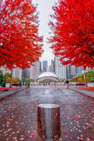The Bean Chicago punaiset lehdet — Huawei MatePad Air (2025) Taustakuvat
