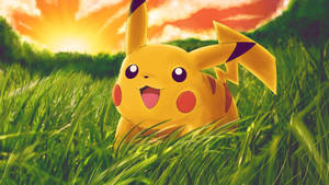 Taustakuva Pikachusta pellolla auringonlaskun kanssa.