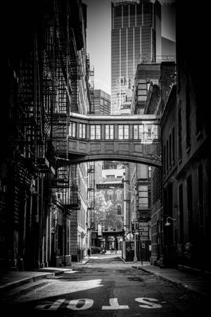 Tribeca New York mustavalkoinen — Xiaomi Pad 8 Taustakuvat