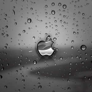 Tumma suloinen iPad