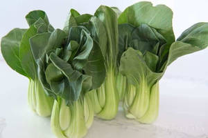 Tuore Bok Choy - Terveellinen Kiinankaali — Ruoka Taustakuvat