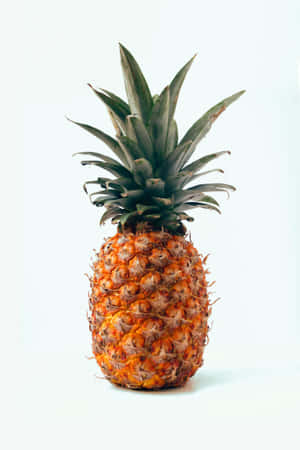 Ananas kuvia — Honor Pad GT2 Pro Taustakuvat