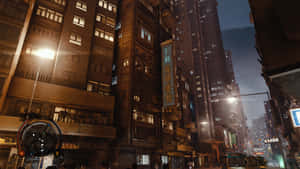 Sleeping Dogs -taustakuva — Nukkuvat koirat Taustakuvat