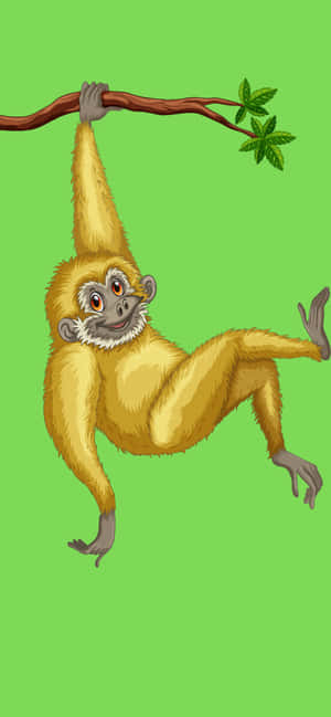Iphone Xs Max Gibbon -taustakuva — Oppo F33 Taustakuvat