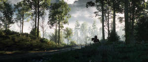 Ultraleveä metsävisuaali The Witcher 3 -videopelin taustakuvasta. — 3440x1440 Taustakuvat