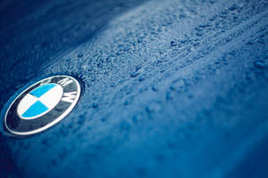Lähikuva BMW-logosta sinisessä autossa pisaroiden kanssa -taustakuva