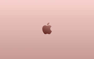 Ruusukultainen väri — MacBook Taustakuvat