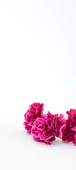 1080x2400 — POCO M7 Taustakuvat