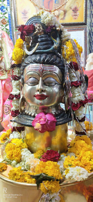 Ujjain Mahakal keltaiset kukat — iPhone 14 Pro Taustakuvat