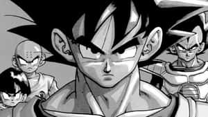 Dragon Ball -kuvat — Dragon ball Taustakuvat