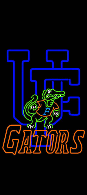 University Of Florida Gators neonvalot -taustakuva