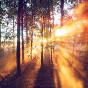 Upea auringonnousu — Auringonlasku Taustakuvat