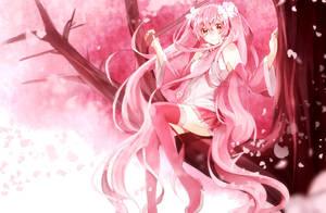 Vaaleanpunainen anime-estetiikka Sakura-taustakuva — Esteettinen pinkki Taustakuvat