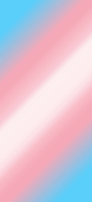 Trans Phone — Redmi Note 15 Special Taustakuvat