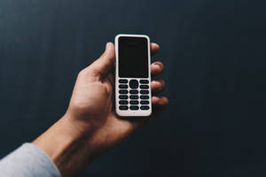 Valkoinen ja musta Nokia N130